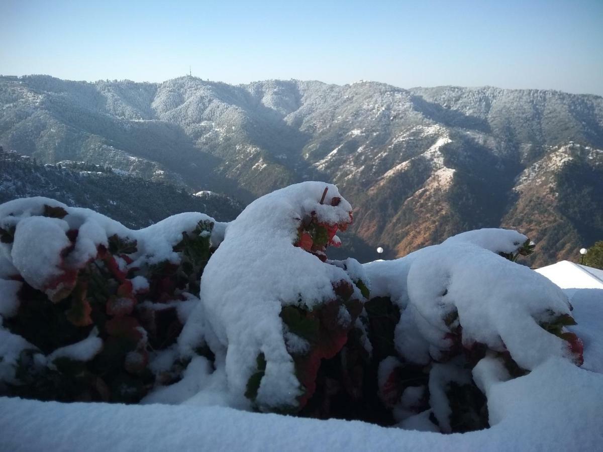 Spangle Heights Shimla, Suites And Residences Екстер'єр фото